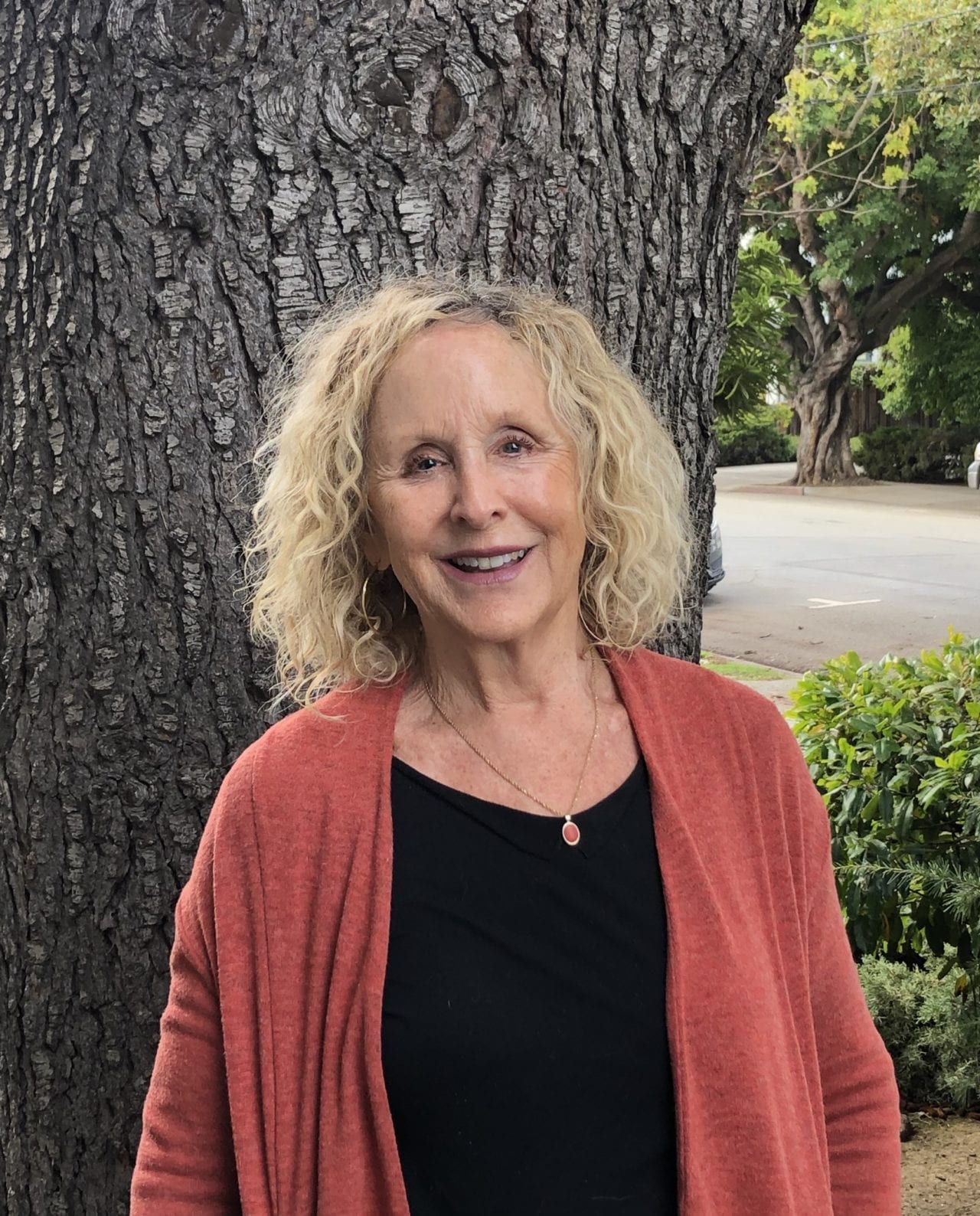 Victoria McLaughlin Individuals, Couples & Families Counseling in the